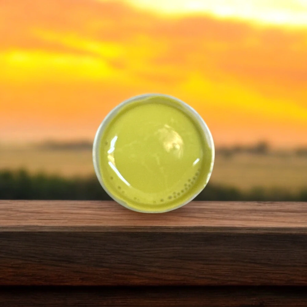 RYVALURES-SOFTBAIT FARBA ŠTANDART DARK KHAKI 30ML.