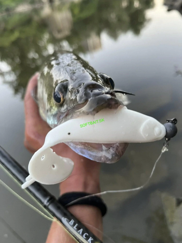 RYVALURES- SANDRA ZANDRE 10CM- 12,5G