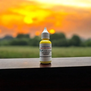 RYVALURES PLASTISOL COLOR STANDART HONEY-YELLOW 30ML.