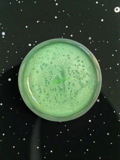 RYVALURES PLASTISOL COLOR PEARL PEPPERMINT GREEN 30ML.